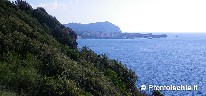 Natura, cultura e fede in una delle località di maggior pregio ambientale dell'isola d'Ischia