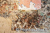 Gli affreschi della Torre di Guevara a Cartaromana 14