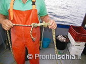 Pescaturismo a Ischia 19