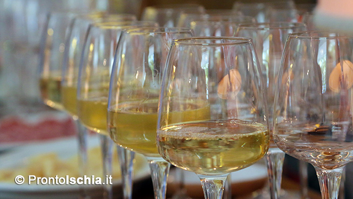 I 5 vini di ischia da provare isola dischia Come si chiama la raccolta di vini pregiati