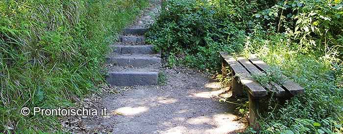 La fonte di Buceto
