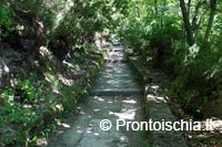 La fonte di Buceto 3