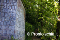 La fonte di Buceto 7
