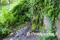 La fonte di Buceto 9