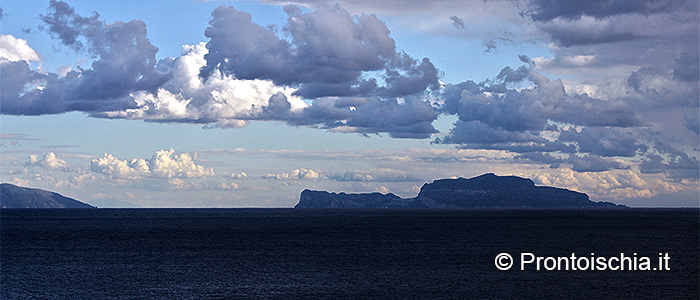 Ischia e Capri