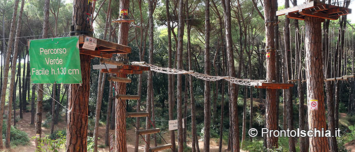 Alla scoperta del bellissimo Parco Avventura nella pineta di Fiaiano, dove tra corde, carrucole e ponti tibetani, il divertimento è assicurato ad adulti e bambini