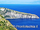 Il Sentiero delle Baie 23