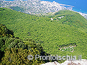 L'isola d'Ischia nella puntata di Linea Verde 4