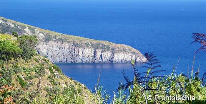 La baia più incantevole dell’isola d’Ischia.