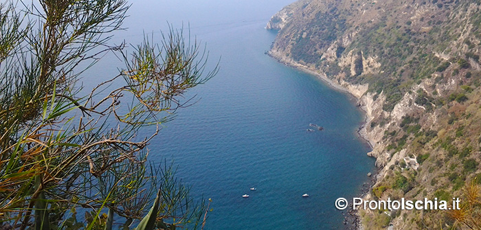 O Scarrupata. Una delle aree più spettacolari dal punto di vista paesaggistico e vulcanologico dell'isola d'Ischia.