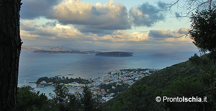 Il polmone verde più importante dell'isola d'Ischia.