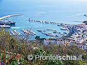 La Sentinella 13