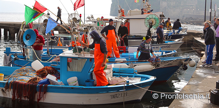 I pescatori di Ischia Ponte