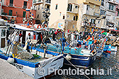 I pescatori di Ischia Ponte 2