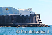 Il giro dell'isola d'Ischia via mare 39