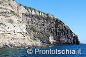 Il giro dell'isola d'Ischia via mare 48