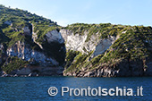 Il giro dell'isola d'Ischia via mare 94