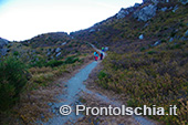 Ischia, Andar per sentieri 27