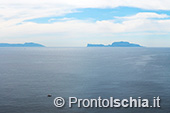 Ischia, Procida e Capri 8