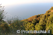 Escursioni a Ischia: tramonto al Monte Epomeo 41