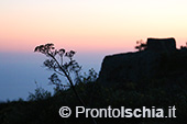 Escursioni a Ischia: tramonto al Monte Epomeo 82