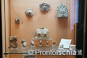 Visita guidata al Museo di Villa Arbusto 61