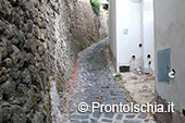 Escursione a Ischia Porto: dal Lago de' Bagni al Palazzo Reale 19