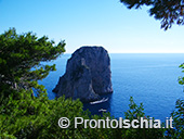Capri, l'isola Azzurra 28