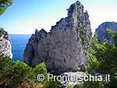 Capri, l'isola Azzurra 29