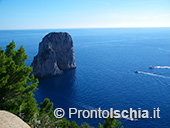 Capri, l'isola Azzurra 31