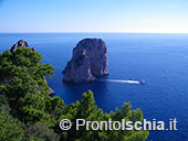 Capri, l'isola Azzurra 33