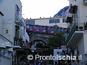 Capri, l'isola Azzurra 45