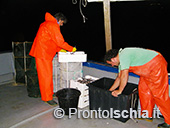 Pescaturismo a Ischia 4