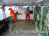 Pescaturismo a Ischia 28