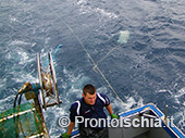 Pescaturismo a Ischia 40