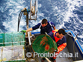 Pescaturismo a Ischia 41