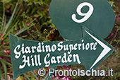 Visita guidata ai Giardini La Mortella 27