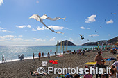 Ischia Wind Art, festival degli aquiloni 4