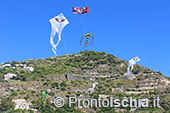 Ischia Wind Art, festival degli aquiloni 7