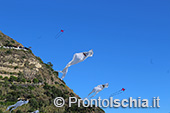 Ischia Wind Art, festival degli aquiloni 10