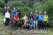 Escursioni a Ischia: dal Bosco della Maddalena a Sant'Angelo 7