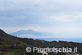 Escursioni a Ischia: dal Bosco della Maddalena a Sant'Angelo 57