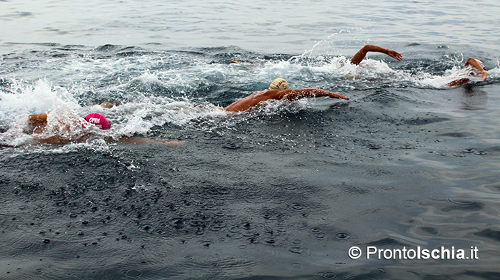 Nuota Forio, mezzo fondo di nuoto dell'Isola d'Ischia