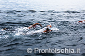 Nuota Forio, mezzo fondo di nuoto dell'Isola d'Ischia 7