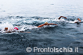 Nuota Forio, mezzo fondo di nuoto dell'Isola d'Ischia 10