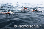 Nuota Forio, mezzo fondo di nuoto dell'Isola d'Ischia 11