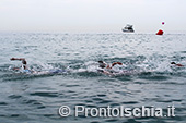 Nuota Forio, mezzo fondo di nuoto dell'Isola d'Ischia 28