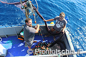 A pesca di lampughe sull'isola d'Ischia 24