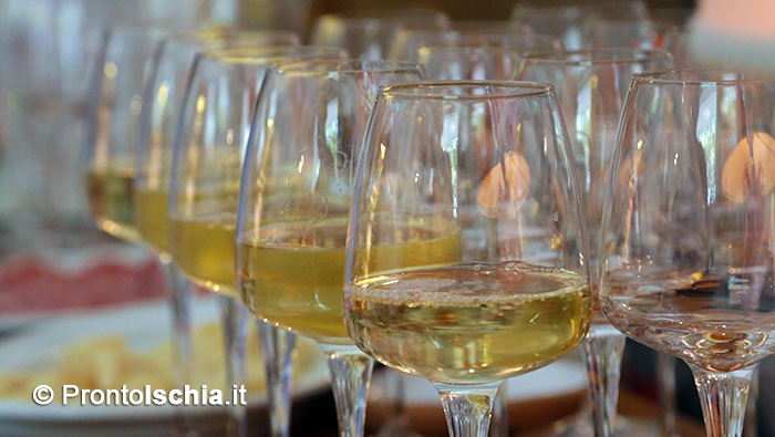 I nostri consigli sui vini isolani da bere