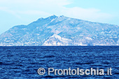 Campionato Italiano Traina d'Altura a Ischia 45